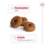 Royal Canin Medium Ageing 10+ 15kg - obrazek 5