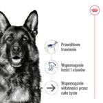 ROYAL CANIN Maxi Ageing 8+ Karma 15kg - obrazek 3