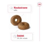 ROYAL CANIN Maxi Ageing 8+ Karma 15kg - obrazek 4
