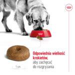 ROYAL CANIN Maxi Ageing 8+ Karma 15kg - obrazek 5