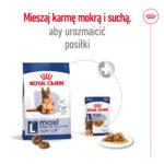 ROYAL CANIN Maxi Ageing 8+ Karma 15kg - obrazek 7