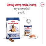 ROYAL CANIN Maxi Ageing 8+ Karma 15kg - obrazek 8