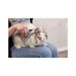 Trixie Nożyczki do Pazurów 8cm - obrazek 4