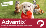 Advantix Krople dla Psów <4kg Kleszcze i Pchły - obrazek 9