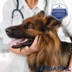 Adaptil Wkład do Dyfuzora dla Psa 48ml - obrazek 5