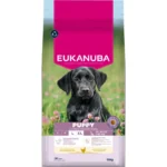 Eukanuba Puppy Large Breed 15kg