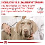 Royal Canin Hypoallergenic Karma Mokra 200g - obrazek 7