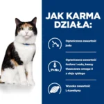 Hill's Prescription Diet y/d dla kota - obrazek 4