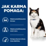 Hill's Prescription Diet y/d dla kota - obrazek 5