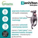 Vetoquinol Caniviton Forte Plus na Stawy - obrazek 3
