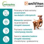 Vetoquinol Caniviton Protect – Zdrowe Stawy - obrazek 2
