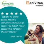 Vetoquinol Caniviton Protect – Zdrowe Stawy - obrazek 6