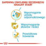 Royal Canin Karma Szczeniąt Jamnika 1,5kg - obrazek 4