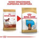Royal Canin Karma Szczeniąt Jamnika 1,5kg - obrazek 8