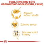 Royal Canin Ragdoll Adult 400g - obrazek 5