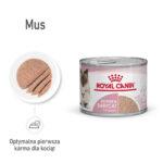 Royal Canin Mother & Babycat Mus 195g