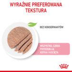 Royal Canin Mother & Babycat Mus 195g - obrazek 4