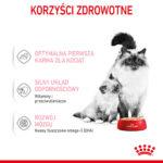 Royal Canin Mother & Babycat Mus 195g - obrazek 5