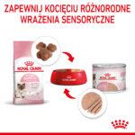 Royal Canin Mother & Babycat Mus 195g - obrazek 6