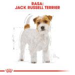 ROYAL CANIN Karma Jack Russell Adult 7,5kg - obrazek 2