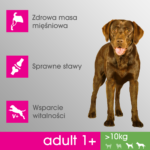 Perfect Fit Karma Sucha Kurczak Duże Rasy - obrazek 2