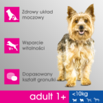 Perfect Fit Adult Kurczak Małe Rasy 6kg - obrazek 2