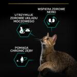 PURINA Pro Plan Sterilised Indyk 10kg - obrazek 3