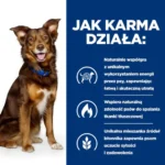 Hill's Metabolic Canine 1,5kg - obrazek 5