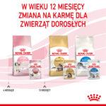 ROYAL CANIN Kitten Instinctive Saszetki 12x85g - obrazek 11