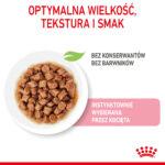 ROYAL CANIN Kitten Instinctive Saszetki 12x85g - obrazek 6