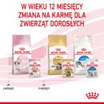 Royal Canin Kitten Instinctive Galaretka - obrazek 10