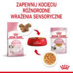 Royal Canin Kitten Instinctive Galaretka - obrazek 7
