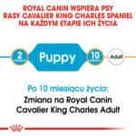 Royal Canin Cavalier King Charles Puppy 1.5kg - obrazek 2