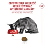 ROYAL CANIN Savour Exigent dla Wymagających Kotów - obrazek 10