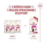 ROYAL CANIN Savour Exigent dla Wymagających Kotów - obrazek 9