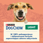 Purina Dog Chow Light Indyk 14kg - obrazek 4