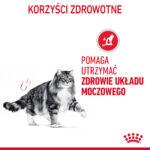 ROYAL CANIN Urinary Care dla kota - obrazek 5