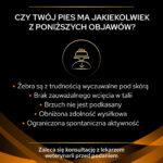 PURINA Pro Plan OM Karma Odchudzająca - obrazek 3