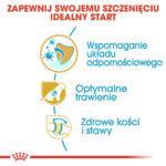 Royal Canin Owczarek Niemiecki Puppy 12kg - obrazek 5
