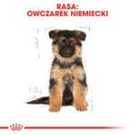Royal Canin Owczarek Niemiecki Puppy 12kg - obrazek 6