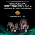 Purina Pro Plan Gastrointestinal Dog 5kg - obrazek 5