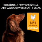 Purina Pro Plan Small & Mini Adult Kurczak 7kg - obrazek 2