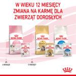 Royal Canin Kitten Pasztet 12x85g - obrazek 10