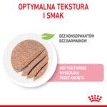 Royal Canin Kitten Pasztet 12x85g - obrazek 5