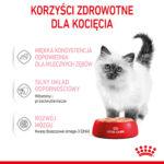 Royal Canin Kitten Pasztet 12x85g - obrazek 6