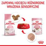 Royal Canin Kitten Pasztet 12x85g - obrazek 7