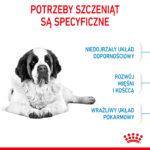Karma Royal Canin Giant Junior 15kg - obrazek 5