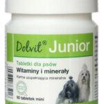 Dolfos Dolvit Junior Mini Witaminy