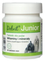 Dolfos Dolvit Junior Mini Witaminy