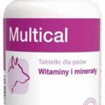 Dolfos Multical: Witaminy dla Psów